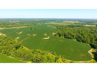 Property photo 24 - LAND AUCTION - 1,193+/- ACRES IN 14 TRACTS IN PIKE & GIBSON COUNTY, INDIANA